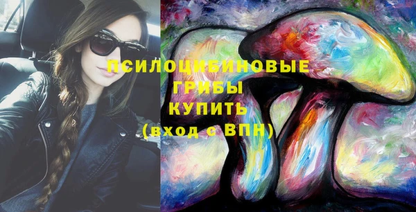 ПСИЛОЦИБИНОВЫЕ ГРИБЫ Кинешма