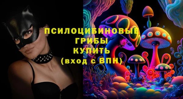 мяу мяу мука Кодинск