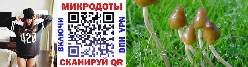 Псилоцибиновые грибы ЛСД  Купить  Славск 